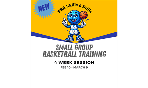 Small Group Basketball Training